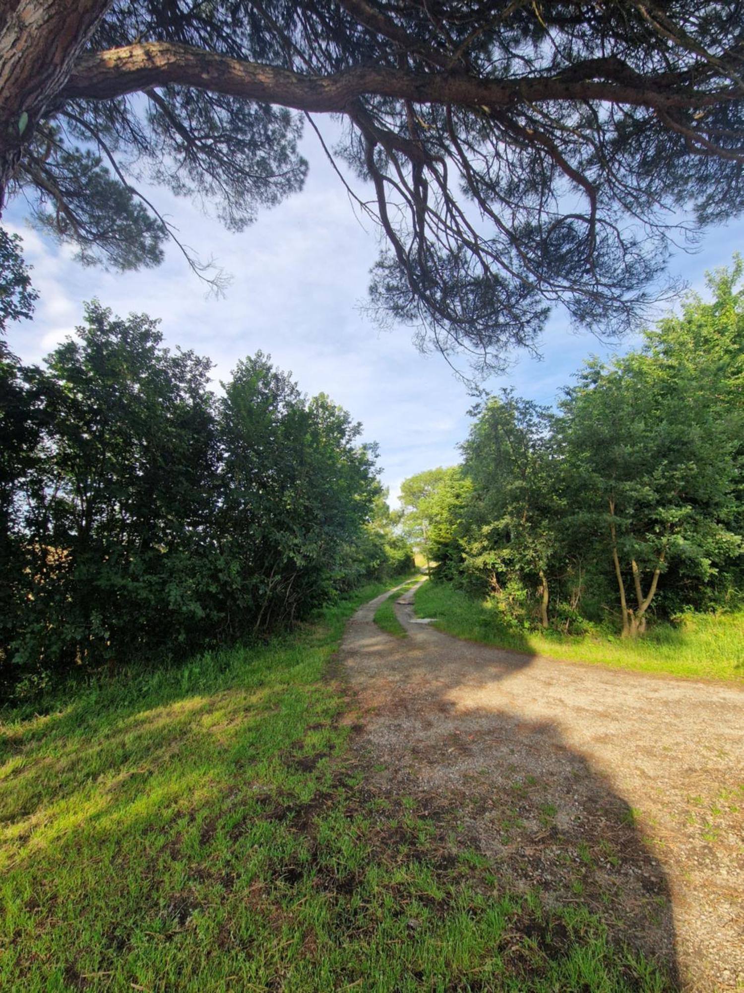 Ferme Ariegeoise, Gite Du Lac Unzent Luaran gambar